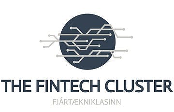The Fintech Cluster